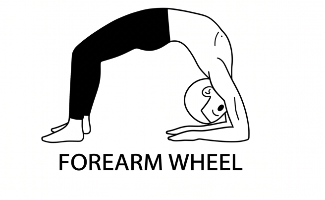 Visual sketch of Forearm Wheel (Dwi Pada Viparita Dandasana)